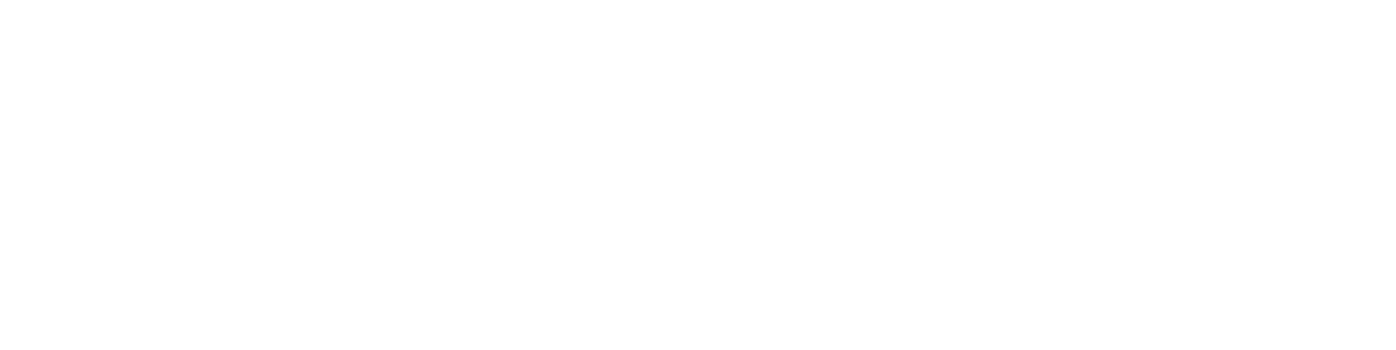 Payload